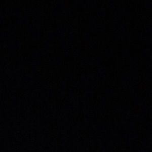 Meet your Posher, Curtis